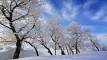 HoarFrost